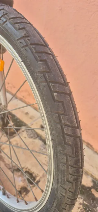 Bicicleta Plegable Plata