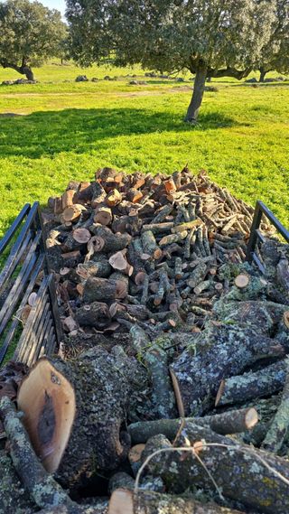 Leña de encina seca para chimenea