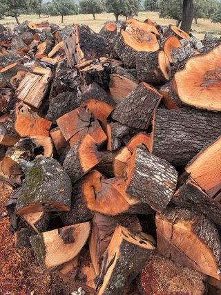Leña de encina seca para chimenea