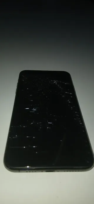 iPhone 11 Pro Max per parti