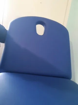 Camilla Eléctrica 2 cuerpos profesional