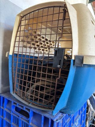 Transportín para perros pequeños