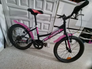 Bicicleta dinobikes 20 pulgadas