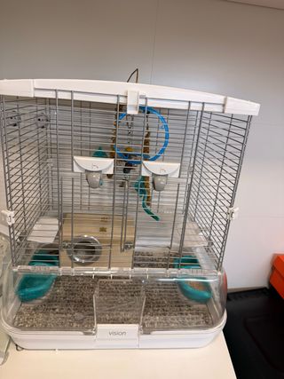 Jaula pájaros LillipHut Turquesa +nido, columpio y