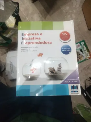 EMPRESA E INICIATIVA EMPRENDEDORA
