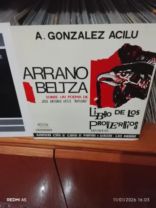 Mas de 700 vinilos, escucho precios