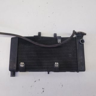 Radiatore Acqua Honda Integra 700 2011-2013