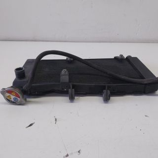 Radiatore Acqua Honda Integra 700 2011-2013