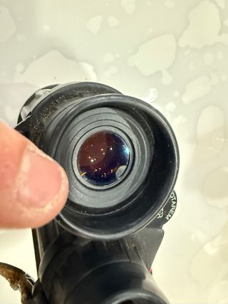 Prismáticos Docter Notarem 8x32B Caza Aves