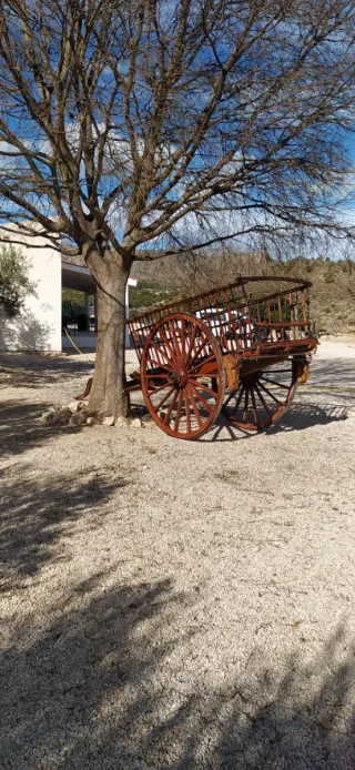 Carro de bueyes antiguo de madera