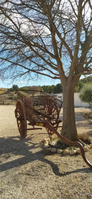 Carro de bueyes antiguo de madera