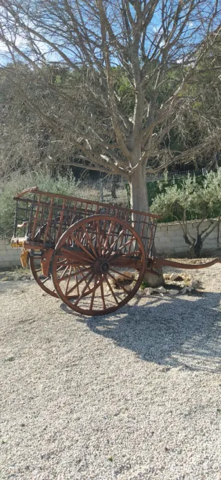 Carro de bueyes antiguo de madera