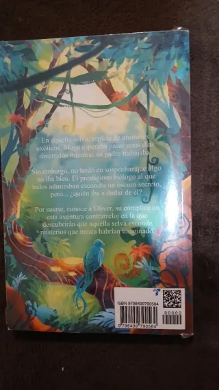 Maya Erikson y el misterio del laberinto.