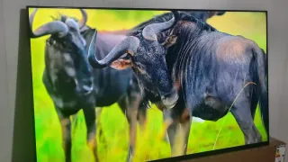 Televisor Smart tv lg uhd al 50ut73