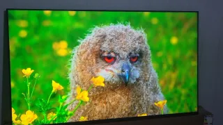 Televisor Smart tv lg uhd al 50ut73