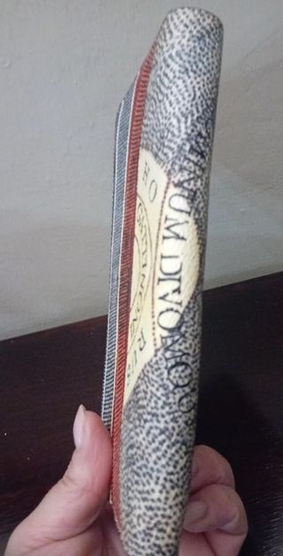 Portafoglio Gattinoni Multicolor