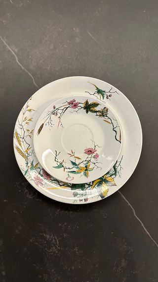 Villeroy & Boch Platos Porcelana Florales