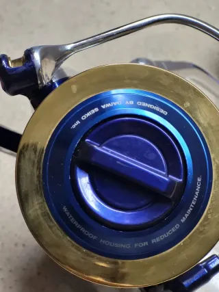 Pareja  Daiwa Saltiga 6500 Expedition