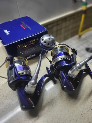 Pareja  Daiwa Saltiga 6500 Expedition