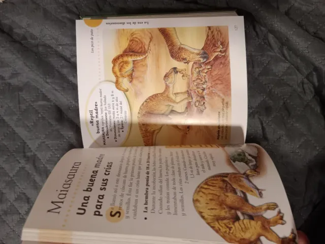 Dinosaurios y la vida en la prehistoria (Susaeta)