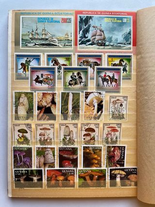 Classificatore Francobolli Diversi Paesi