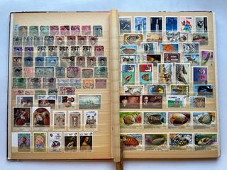 Classificatore Francobolli Diversi Paesi