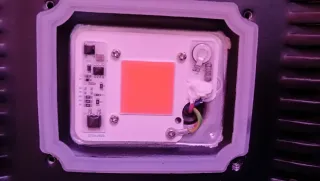 Luz LED COB para cultivo 50w