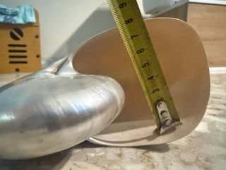 Nautilus Madreperlato Grande