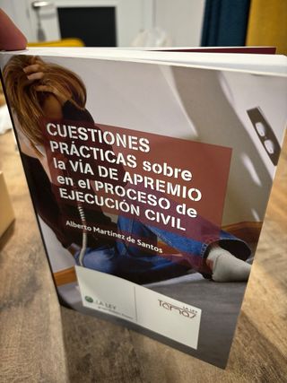 Cuestiones prácticas sobre la vía de apremio en...