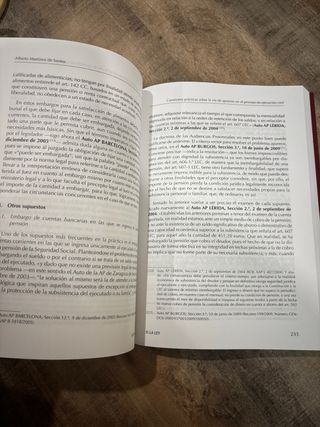 Cuestiones prácticas sobre la vía de apremio en...