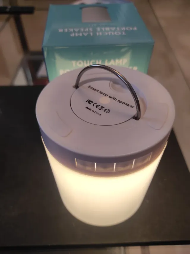 2 Altoparlanti Bluetooth Portatili sono due