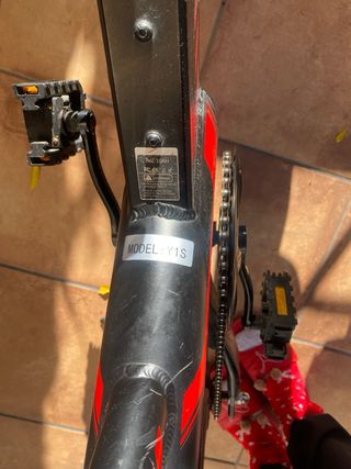 Bici Eléctrica y Pedal