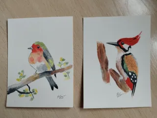 2 Cartoline di Uccelli ad Acquerello