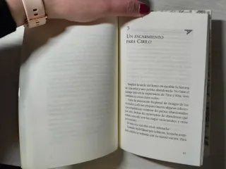 El robo de Las Meninas