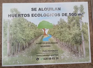 Alquiler huertos-ecologicos reunidos en finca