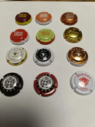 Placas de cava variadas