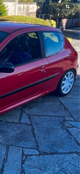 Smontaggio Peugeot 206 GTI F2