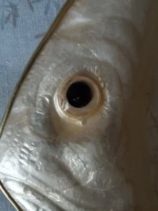 Bandeja concha de capiz