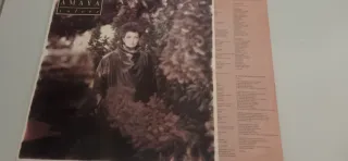 VINILO AMAYA