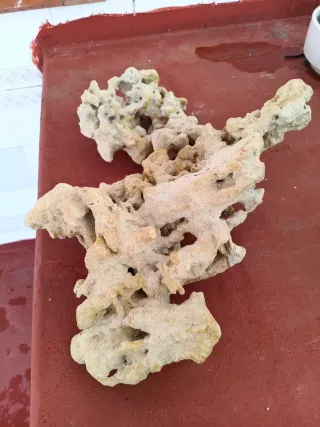 Piedra Decorativa Acuario