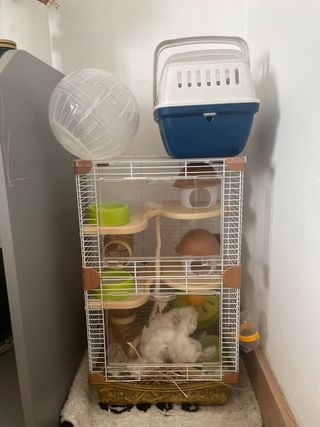 2 Jaulas,bola,arena, lecho igenico, paja y algodon