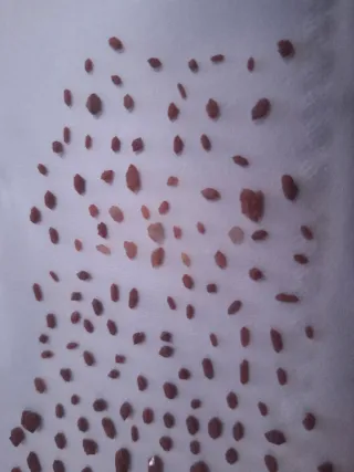 Diamantes de Jacinto Compostela