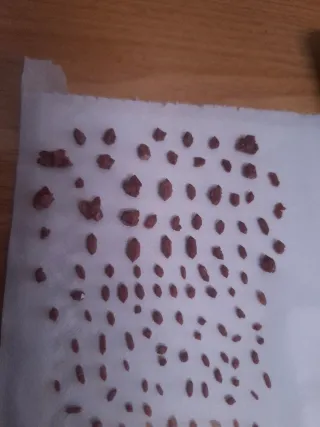 Diamantes de Jacinto Compostela