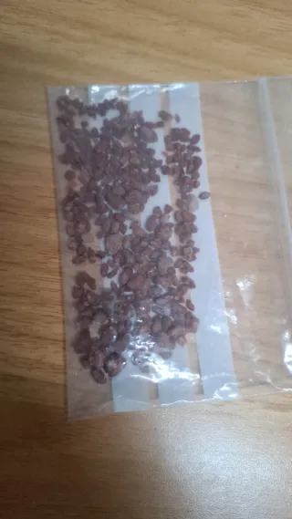 Diamantes de Jacinto Compostela