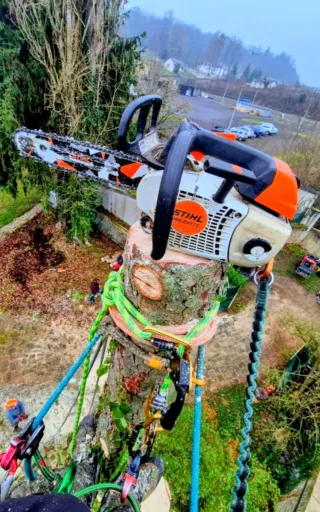 Motosierra Stihl MS 200