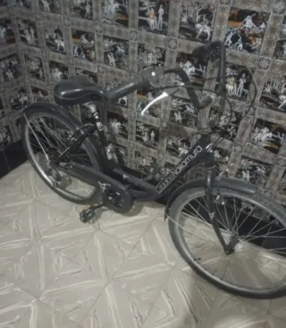 Bicicleta la vendo por necesidad