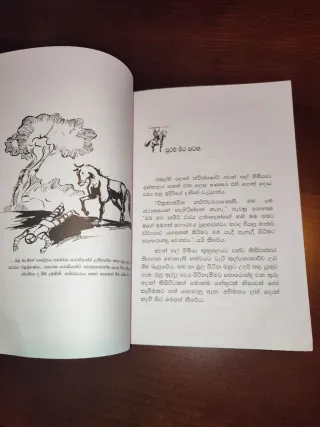 Don Quijote en Cingalés. Sri Lanka. 2019
