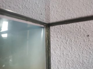 Terrario para mascotas