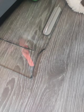 Terrario para mascotas