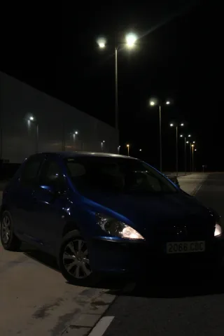 Peugeot 307 2002